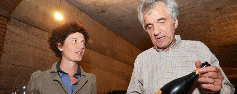 L’Igt Terre lariane. Riportato a nuova vita a un vitigno storico