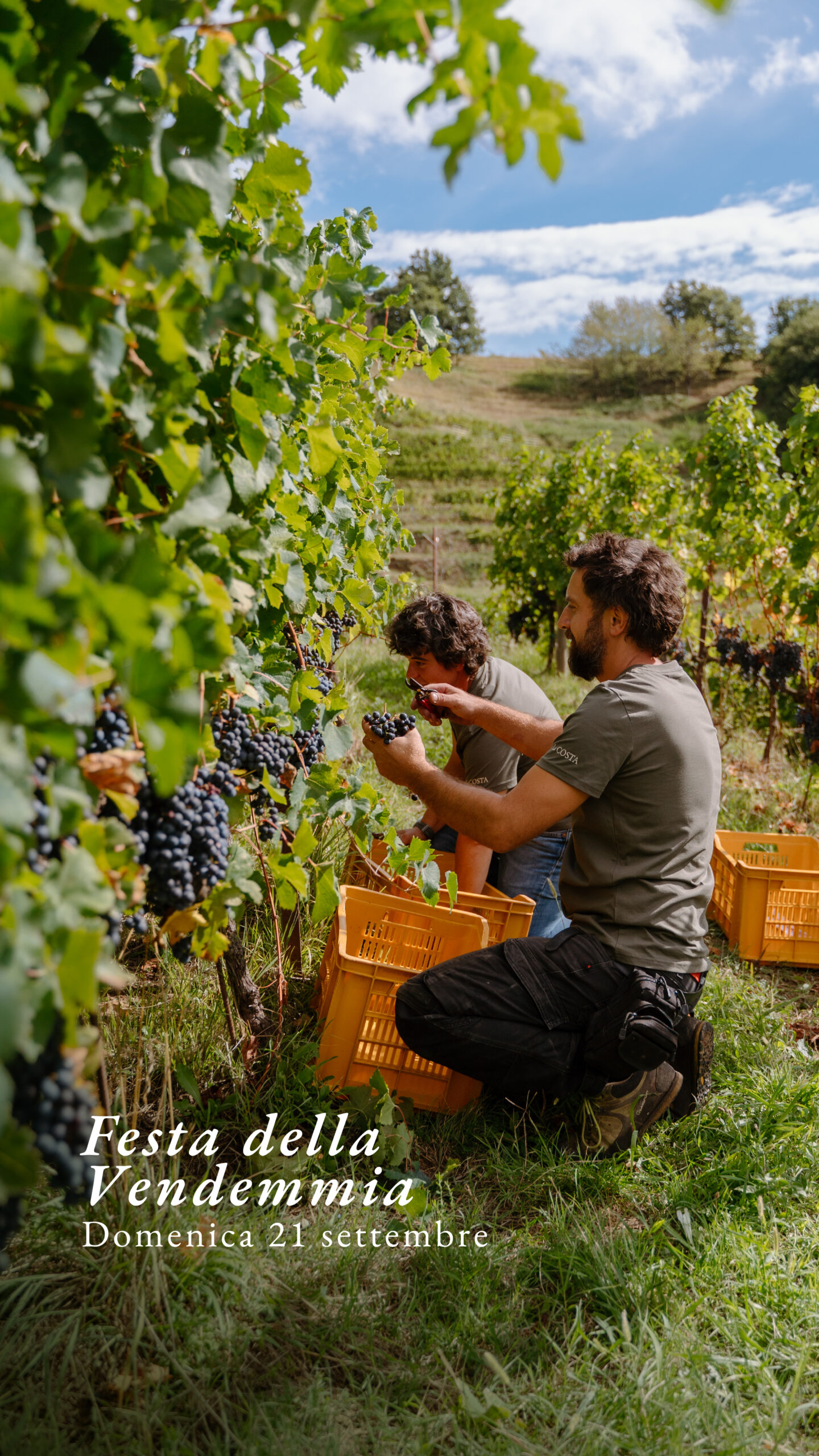 Festa della Vendemmia 2025